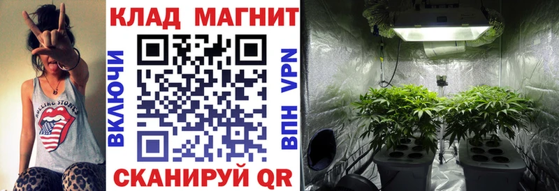 Амфетамин Снежногорск